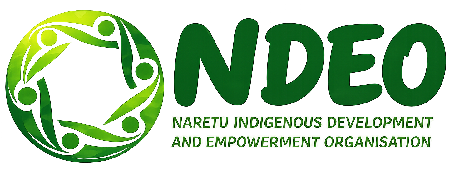NIDEO logo